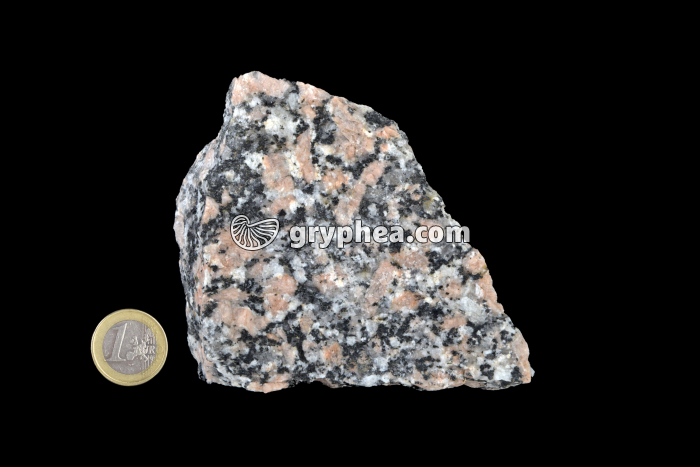 Granite rose (échantillon) - gryphea.com